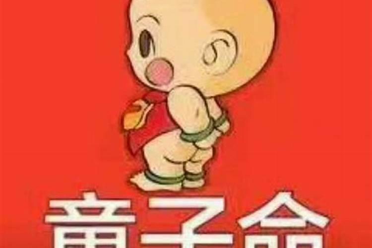 2025年82年狗女的全年运势如何