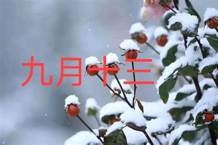 每年的冬至都是农历哪一天