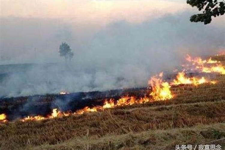 梦见坟头起火是什么意思