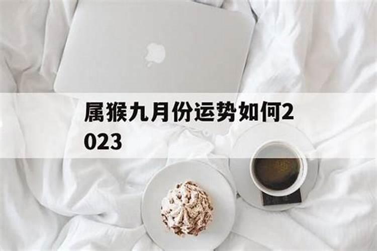 生肖猴2025年运势及运程如何