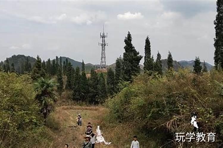 六三年的人什么属相