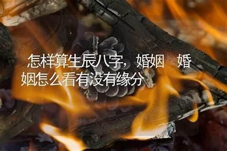 属猪和属蛇的合不合