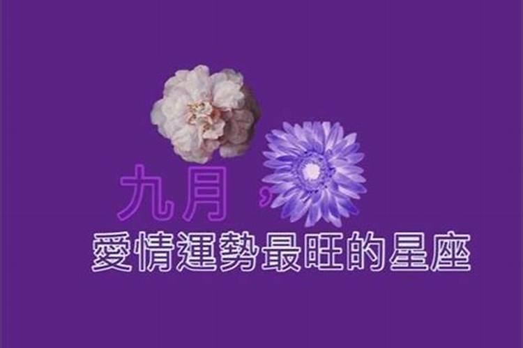 女人梦见水里好多鱼什么寓意