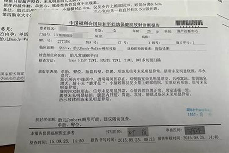 95年属猪女2024年每月运势