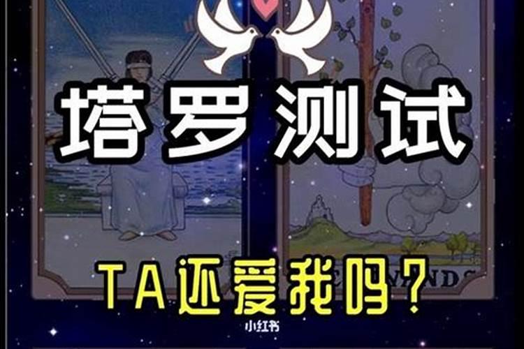84年的鼠2025年的运势及运程