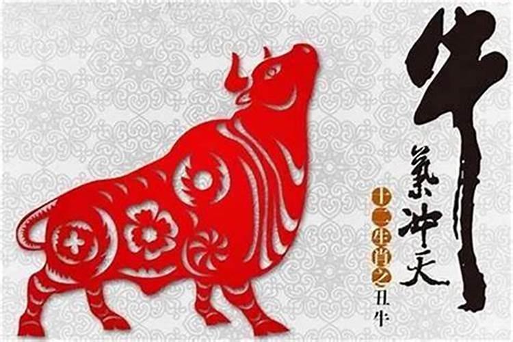 清明节出生有什么讲究