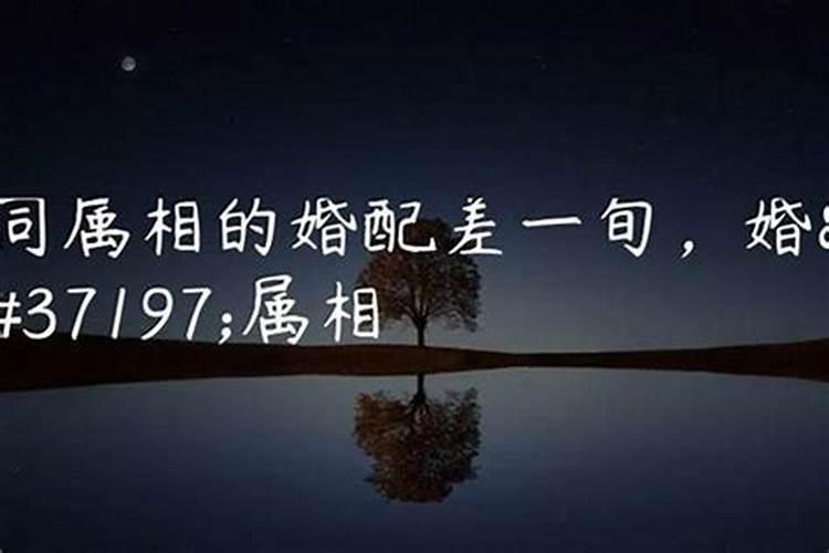 同属相的人结婚好吗夫妻同一个生肖好不好