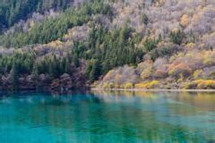梦到湖水是什么意思