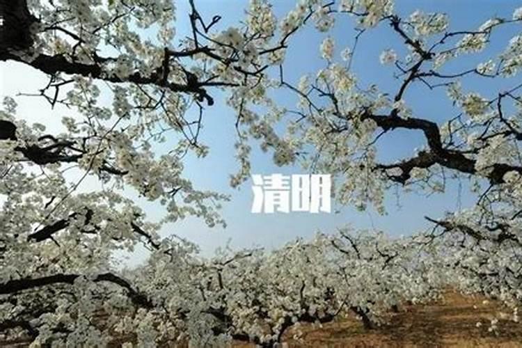 中秋节是农历八月十五吗