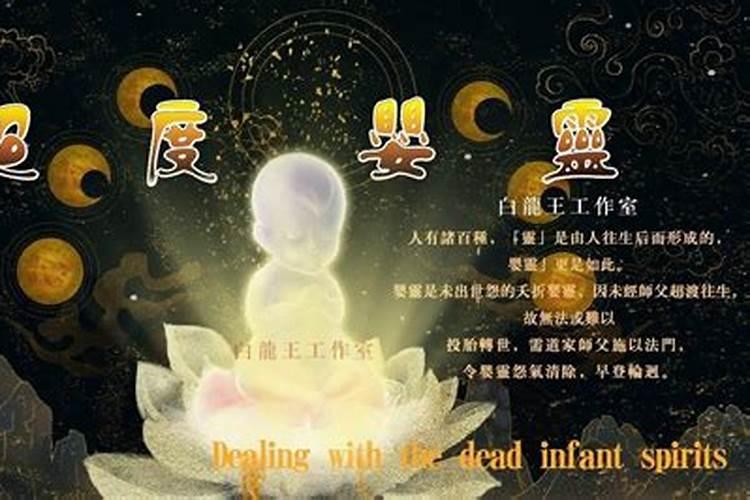 道士可以吃肉吗