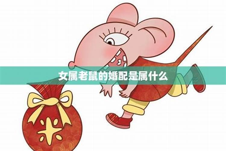 属鼠女配什么属相最好