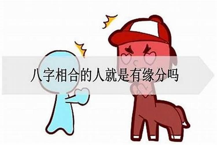 大熊猫走路的姿势是内八字