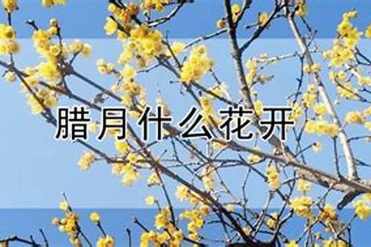 什么时候求财神最好 正月上香拜财神的禁忌