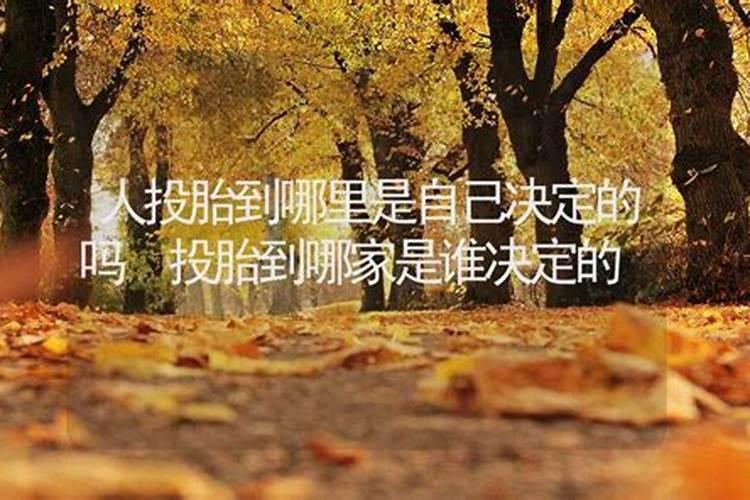 属猪农历八月出生的女人命运如何呢