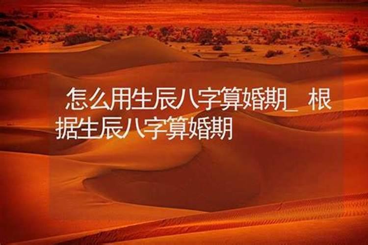 做梦梦到猫是什么意思意思 做梦梦见猫意味着什么
