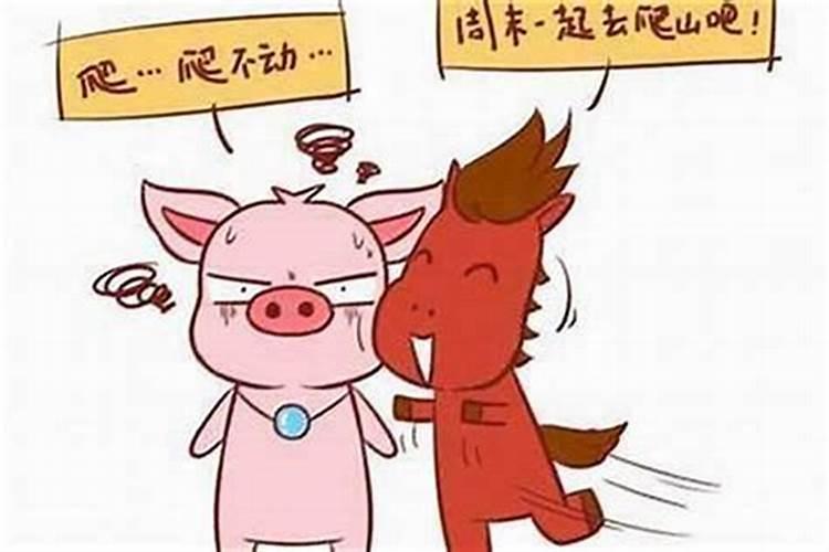 属马女和属猪男能过一辈子吗