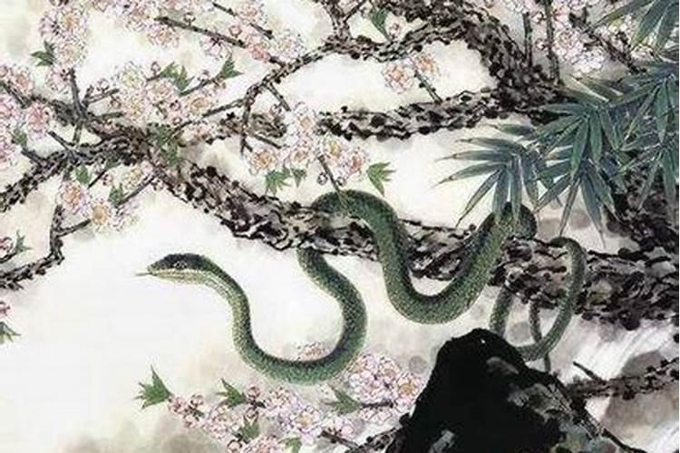 在韩国,为何堕胎是违法的？