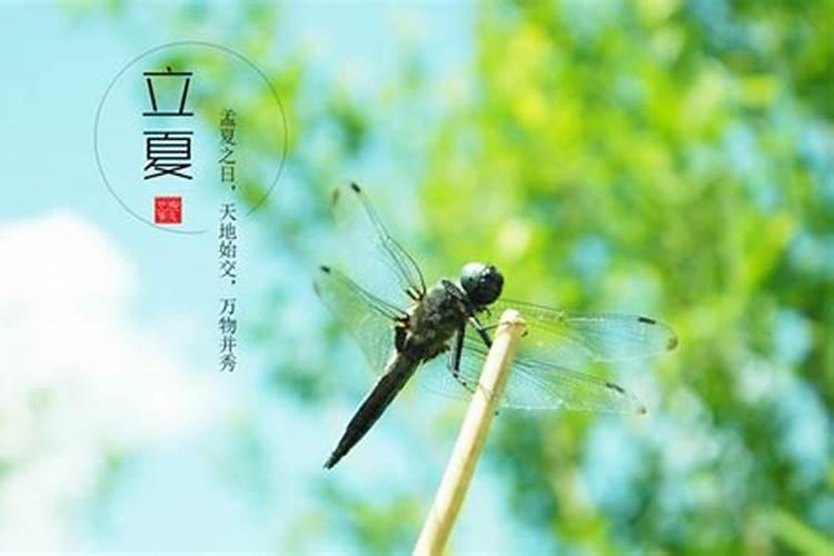 四柱八字是什么意思 ？