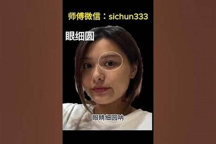 属虎人2025全年运势详解 属虎人2025年每月运势