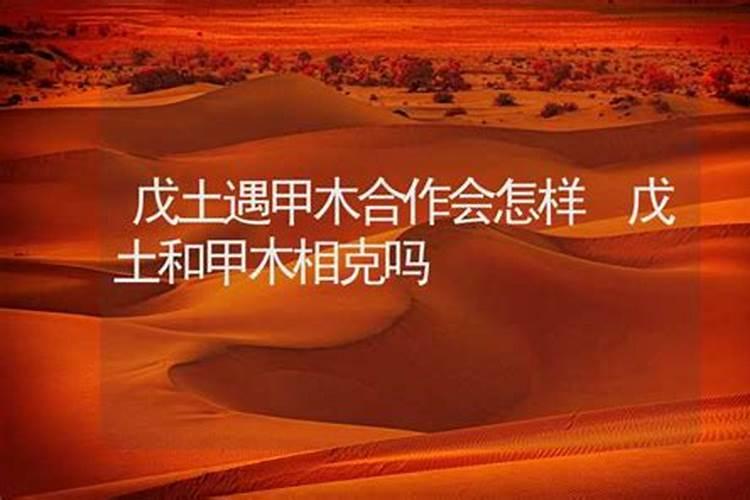 梦到死人棺材寓意什么