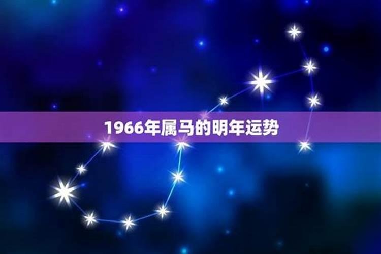 最恐怖的十二星座