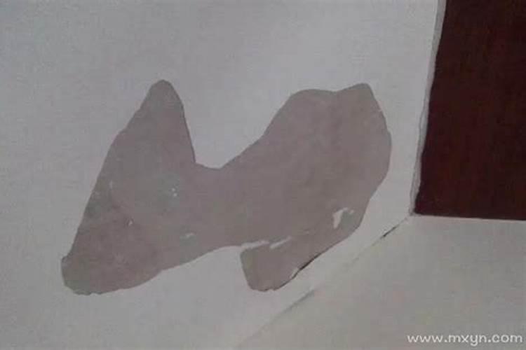 梦见屋里的墙皮掉下来了的预兆