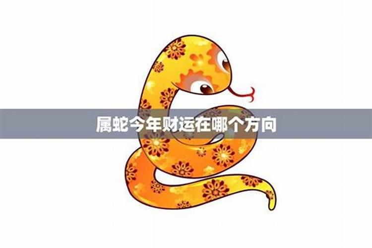 77年生肖蛇女一生运势77年属蛇女运势及运程
