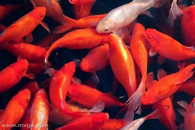 八宅风水与命卦方位吉凶的关系