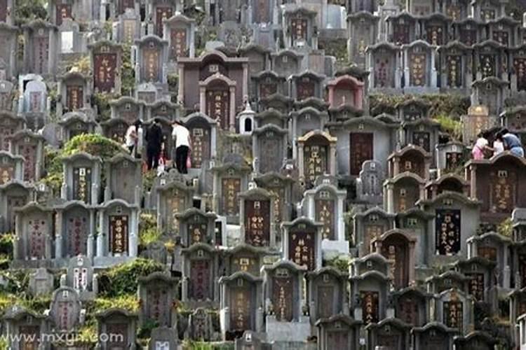 梦见坟头开出鲜花是什么意思？