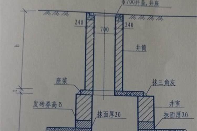 海灯节新食谱中有哪些受欢迎的菜品？