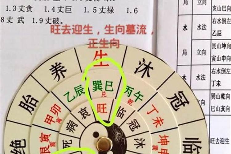 属猴女人的婚姻和命运