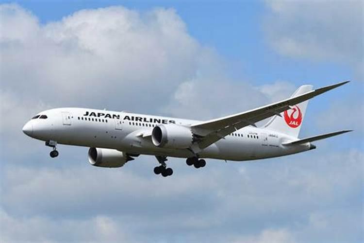 2025属鸡人每月运势及运程如何