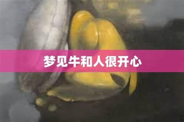 梦见和前妻没有复婚的的预兆