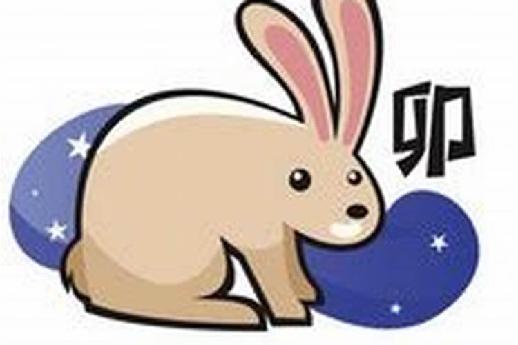 24年属兔的总体运程每月运程详解