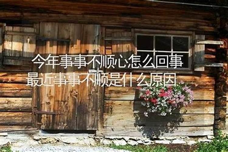 如何追求失恋的属鸡男生