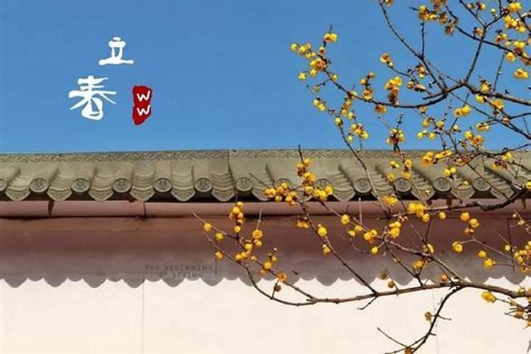 农历二月份出生的生肖猪运势