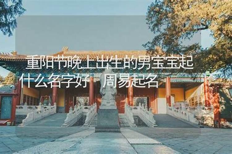 重阳节出生龙宝宝乳名
