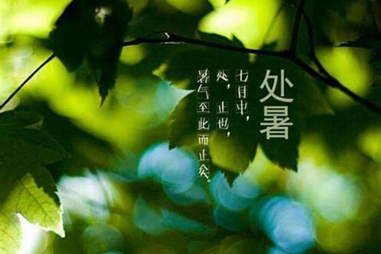 秋处露秋寒霜降意思