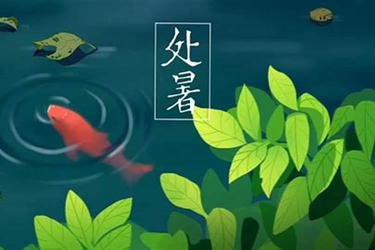 小暑大暑立秋处暑分别在什么时间又代表什么？
