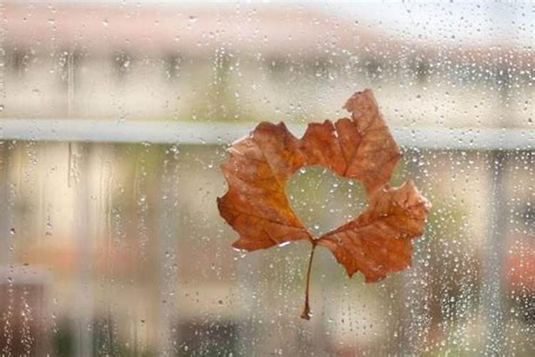 重阳下雨有何预兆