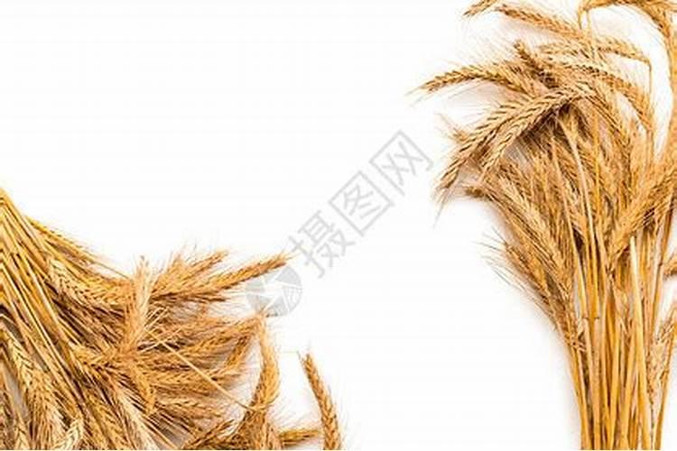 三大鬼节分别是什么时候