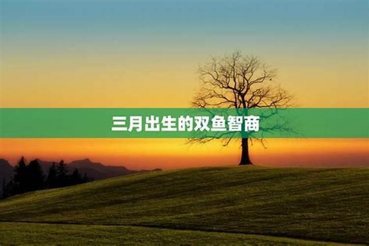 三月十五出生的男孩命运如何