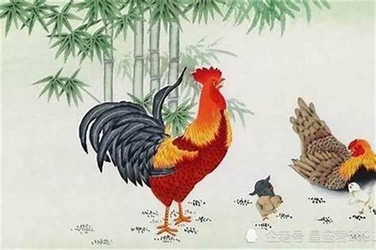 农历5月出生的人命好吗