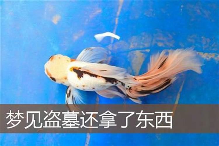 梦见儿子娶媳妇的预兆