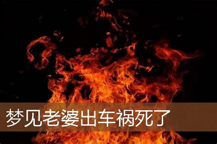 1978年正月初二生早晨9点出生女孩命运财运什么