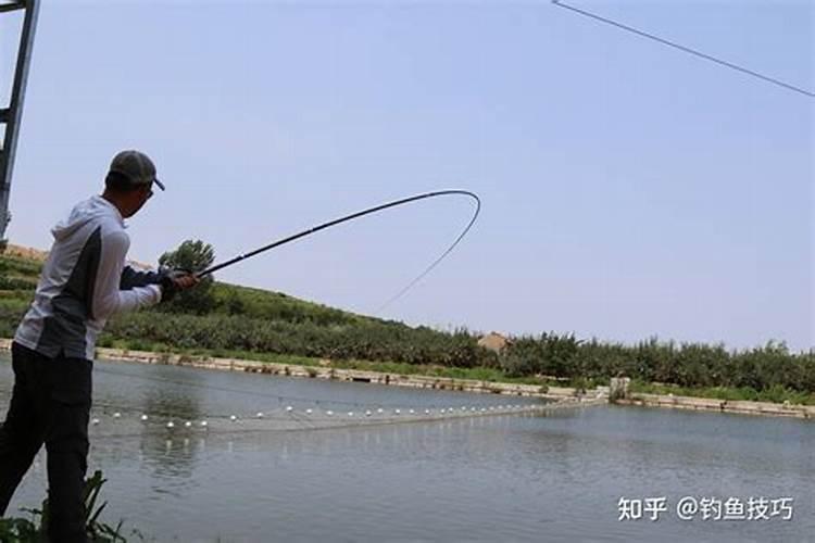 女人做梦梦到猫和老鼠什么意思
