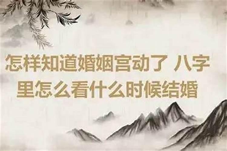 动婚姻是什么意思？