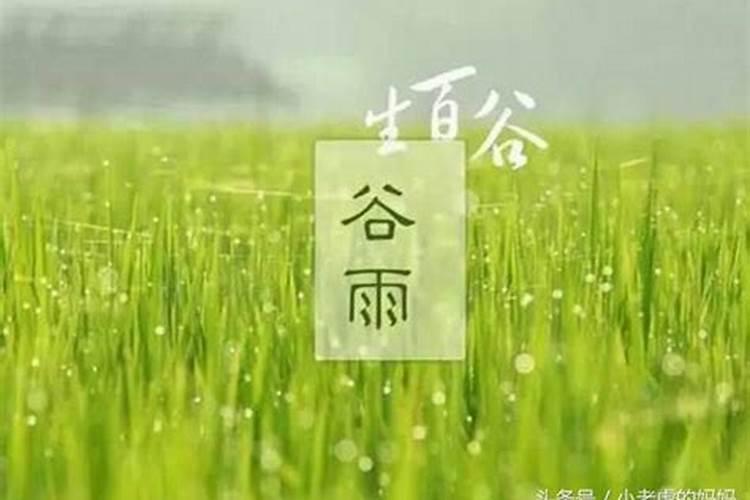 什么叫双午合未？