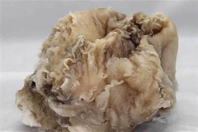 地下挖出来的“太岁”究竟是什么东西？为什么说“太岁”违背了自然规律...
