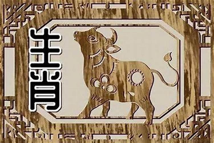 属龙和属羊的八字 属龙和属羊的人八字如何